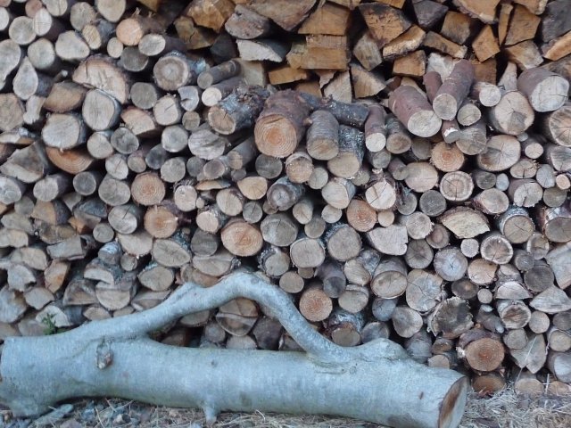 firewood-p1020308